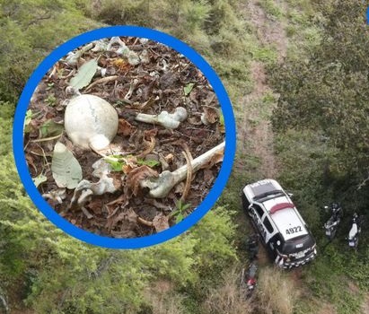Ossada humana é encontrada na Zona Rural