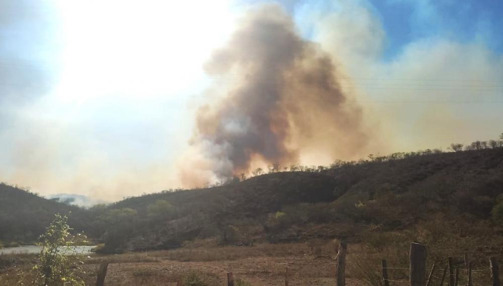 Incêndio atinge área na Estação Ecológica de Aiuaba