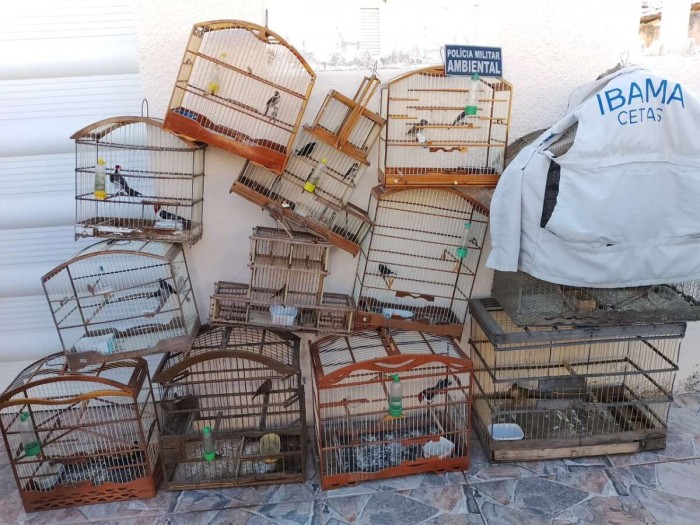 Durante ações em Cariús, PMCE captura dupla e apreende três armas e 24 animais silvestres
