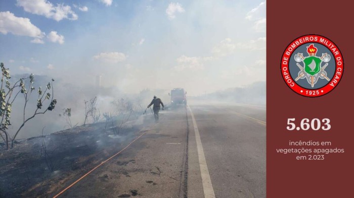 Incêndios em vegetações no Ceará têm aumento de 47% em 2023