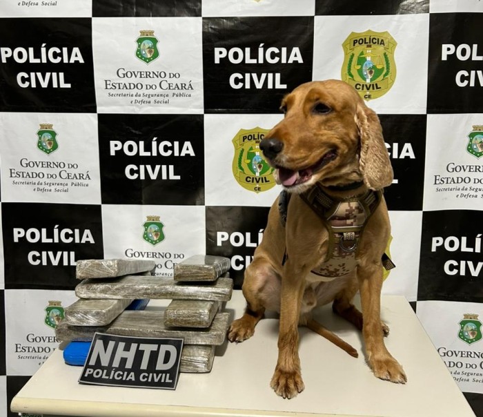 Com ajuda de cão farejador, PC-CE realiza prisão em flagrante por tráfico interestadual de drogas em Brejo Santo