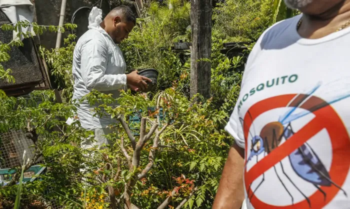 Paraná decreta situação de emergência em saúde por dengue