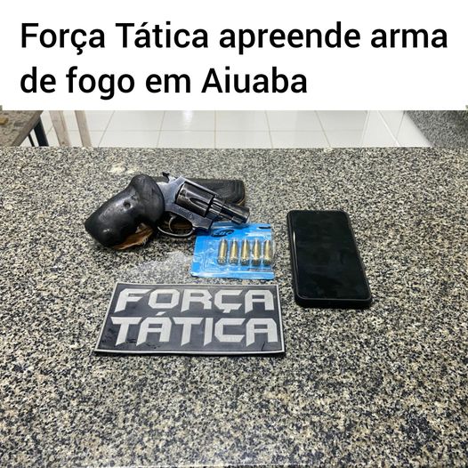 Polícia prende homem portando arma de fogo