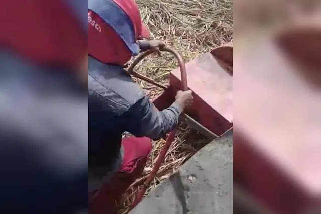 Agricultor tem perna 'engolida' por máquina de moer capim enquanto trabalhava em roçado 