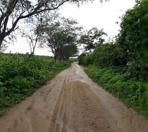 Chuvas são registradas em várias localidades da Zona Rural de Boa Viagem