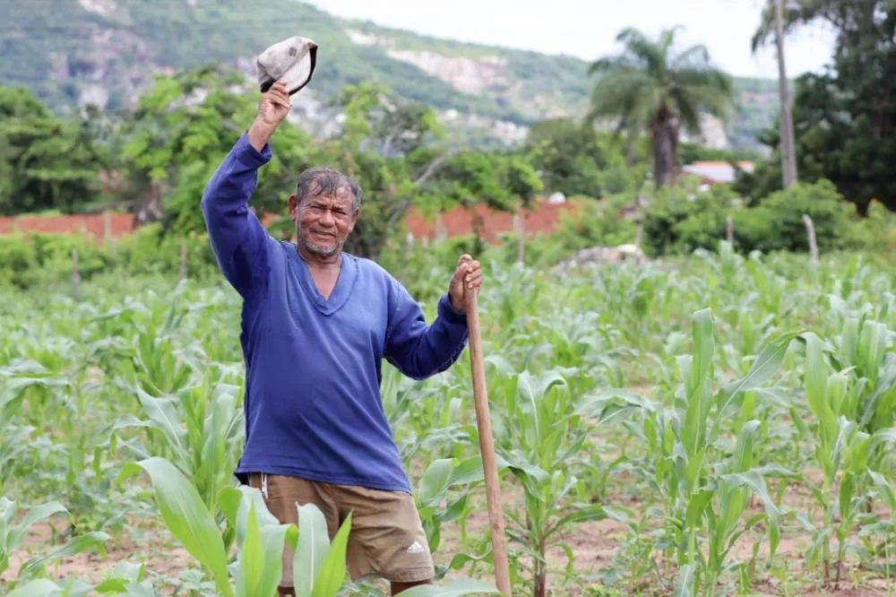 Agricultores de Banabuiú terão que devolver sementes do Hora de Plantar