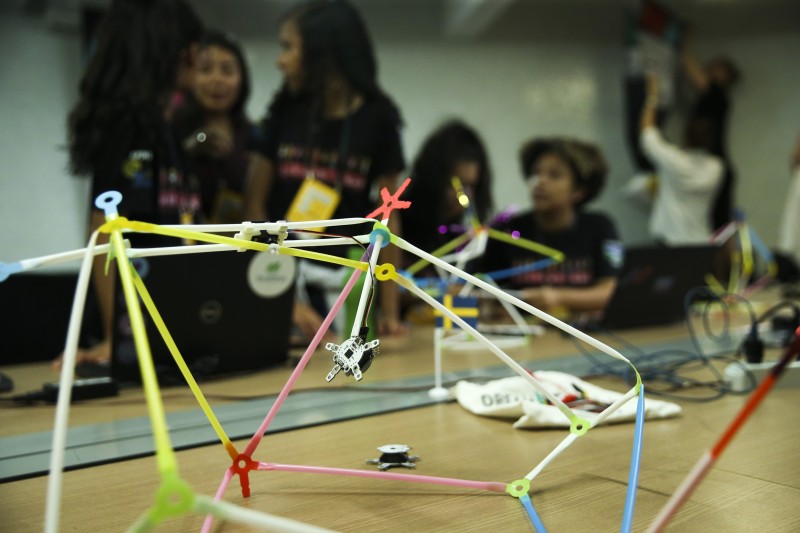 SBPC: indicação para premiação de meninas cientistas termina dia 31