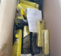 Polícia Civil incinera drogas apreendidas entre 2018 a 2021 em ações no Sertão Central