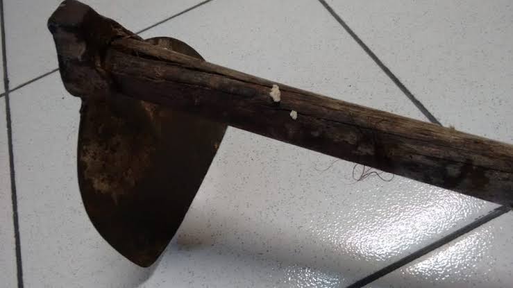 Homem agride irmã com uma enxada na Zona Rural de Boa Viagem