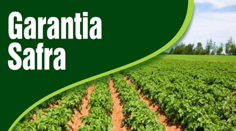 Agricultores não receberão o Garantia Safra 2021/2022